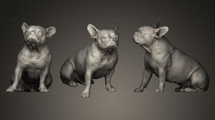 Animal figurines (DOG B37, STKJ_0244) 3D models for cnc